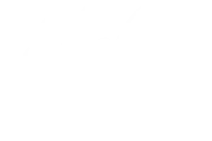 Shalims Indian Restaurant Weymouth Logo